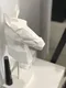 carousel chooser